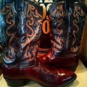 Dan Post Wine Eel skin